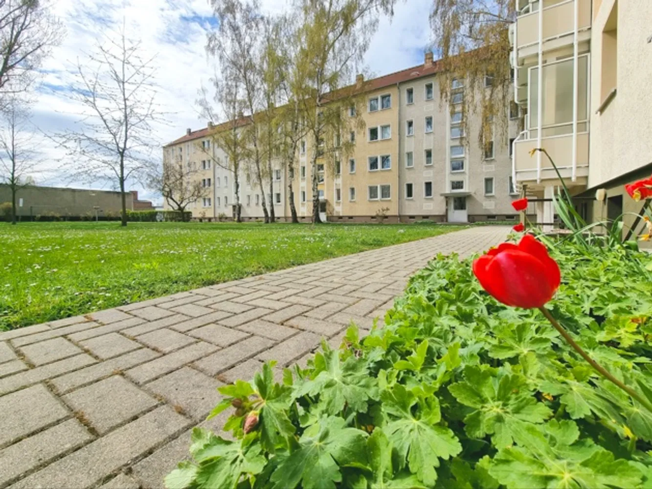 2 room apartment with 47 m² in Magdeburg – Photo 3