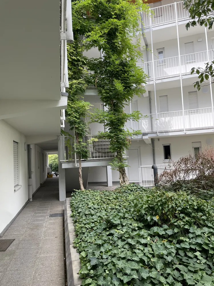 2 Zimmer Wohnung mit 56 m² in Heidelberg – Bild 1