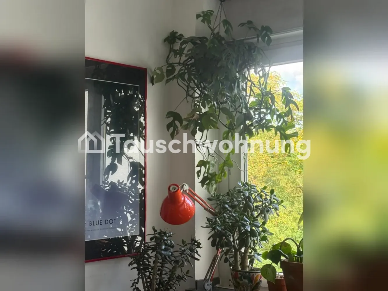 2 room apartment with 44 m² in Cologne – Photo 6