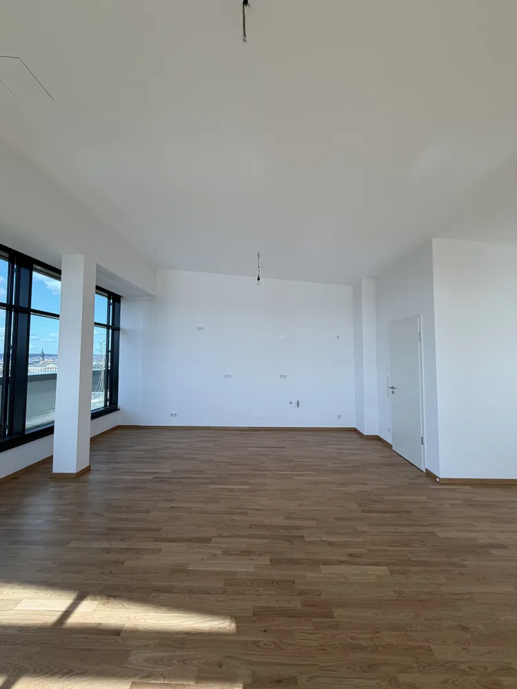 4 Zimmer Wohnung mit 210 m² in Dresden – Bild 2