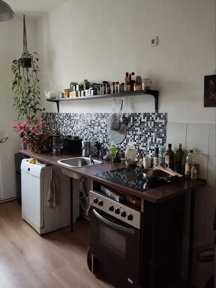 2 room apartment with 57 m² in Halle (Saale) – Photo 5
