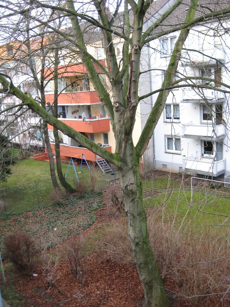 3 room apartment with 66 m² in Cologne – Photo 9