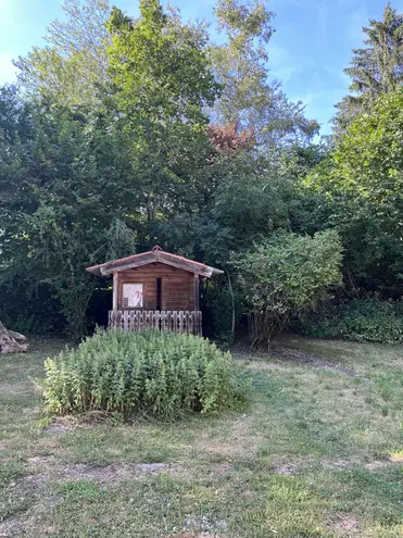 7 Zimmer Haus mit 250 m² in Villingen-Schwenningen – Bild 5