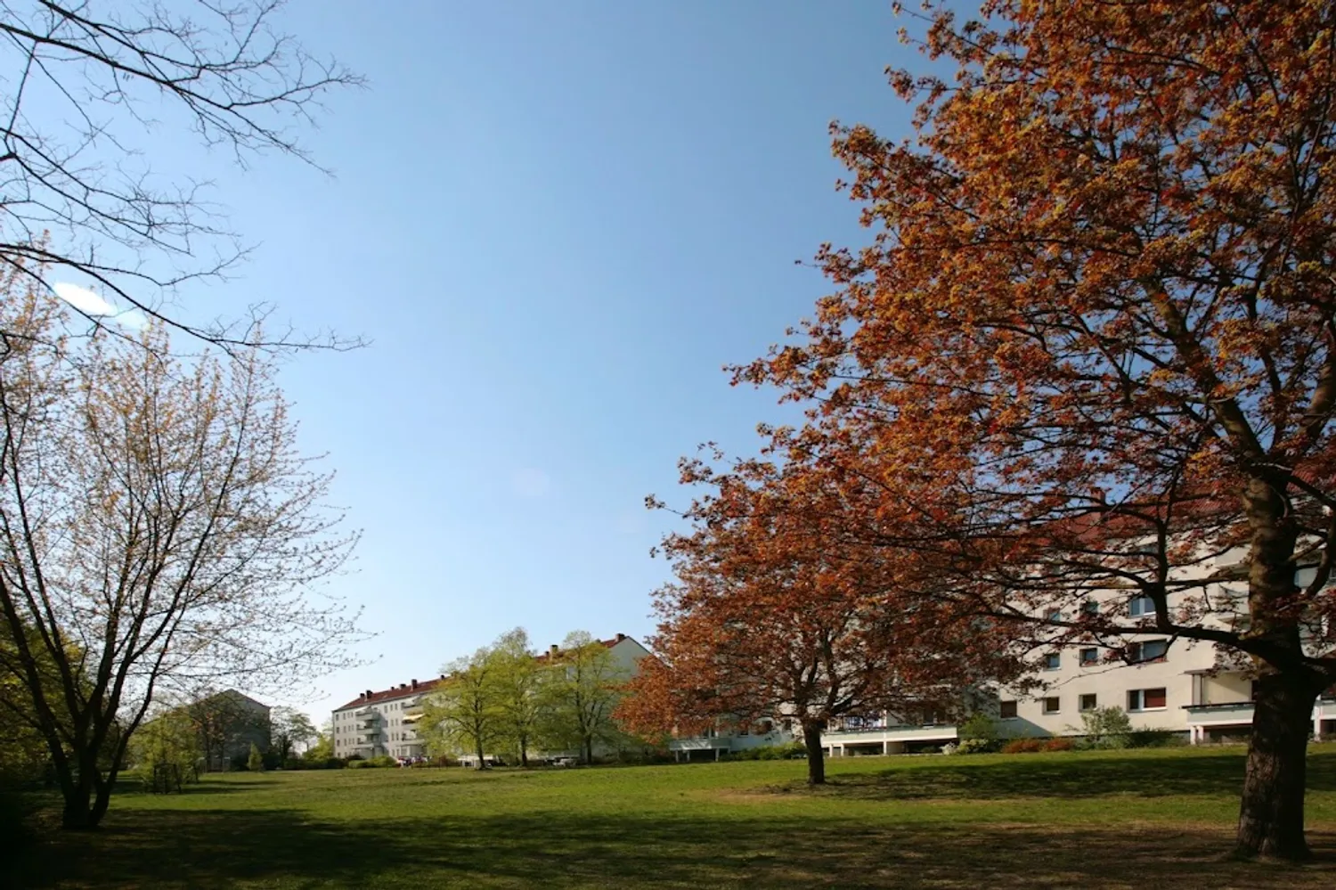 2 room apartment with 40 m² in Berlin – Photo 4