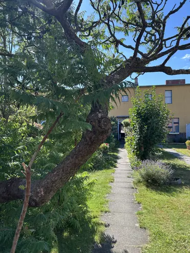 3 Zimmer Haus mit 65 m² in Berlin – Bild 1