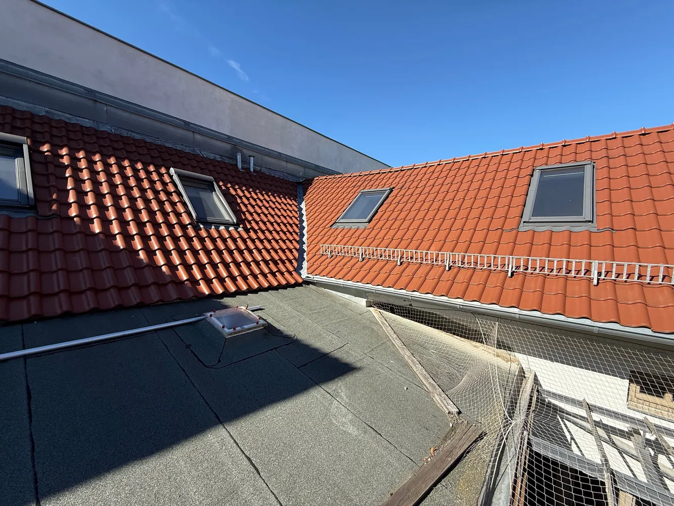 5 Zimmer Wohnung mit 220 m² in Potsdam – Bild 7