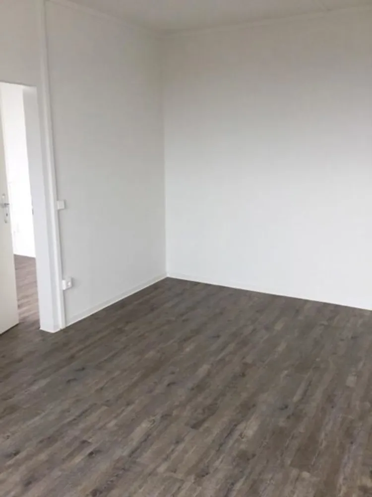 2 room apartment with 44 m² in Dresden – Photo 4