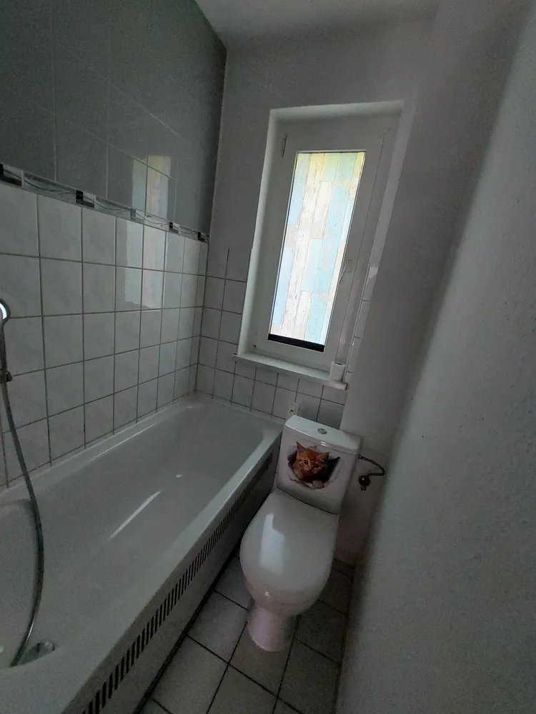 2 Zimmer Wohnung mit 41 m² in Weißenfels – Bild 5