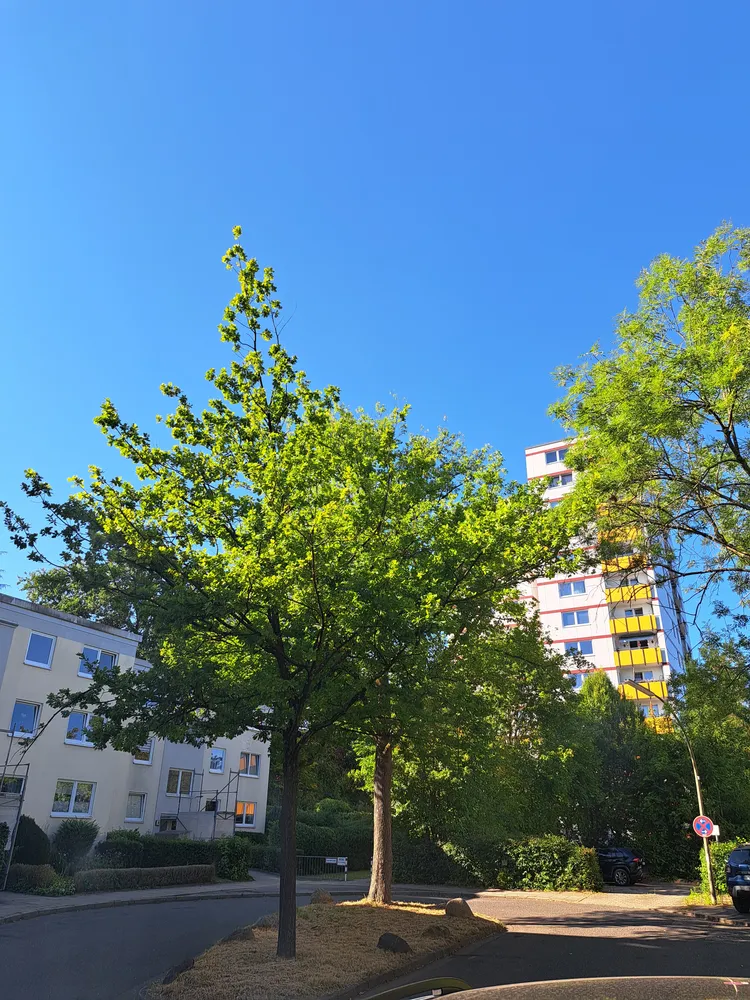 2 Zimmer Wohnung mit 45 m² in Hamburg – Bild 1