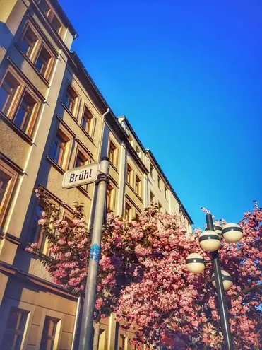 3 room apartment with 69 m² in Chemnitz – Photo 7