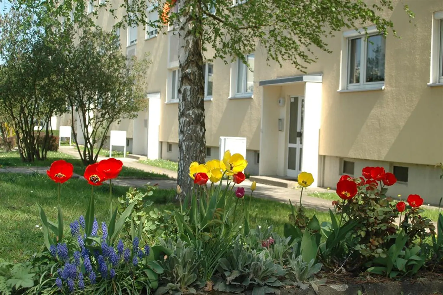 3 Zimmer Wohnung mit 57 m² in Pirna – Bild 1