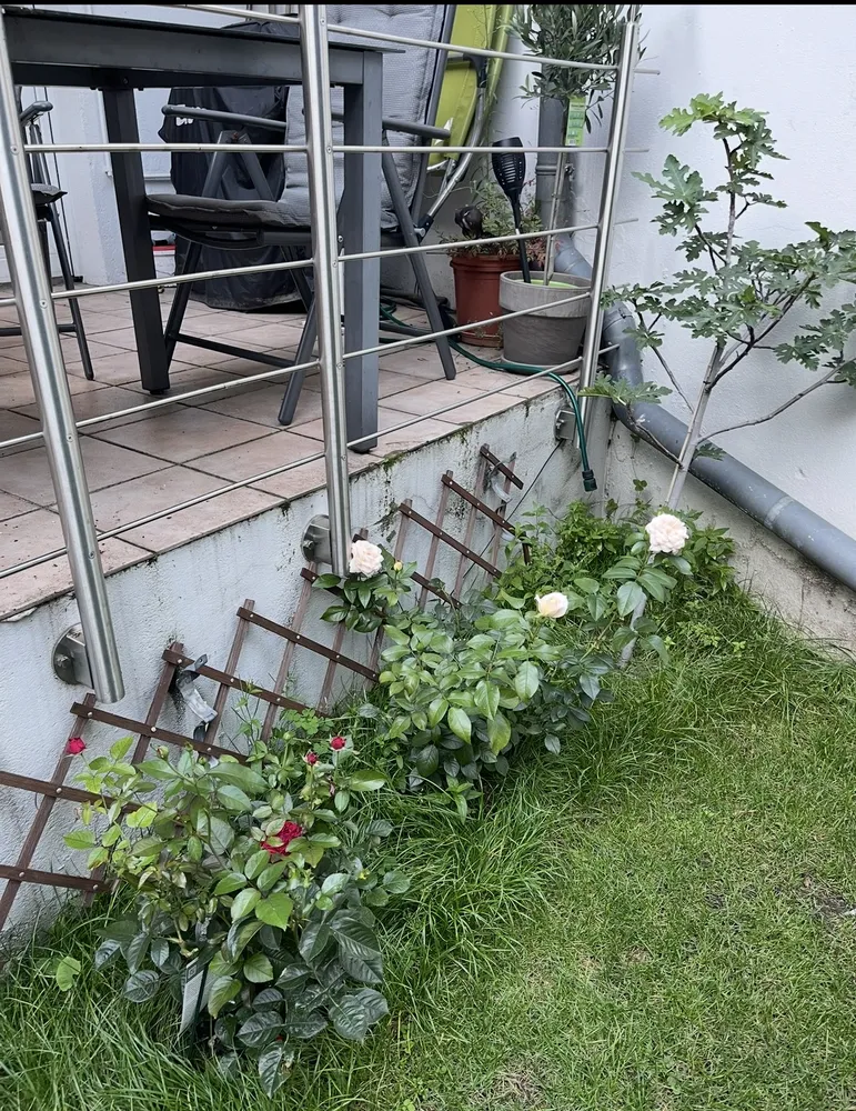 2 Zimmer Wohnung mit 48 m² in Düsseldorf – Bild 4