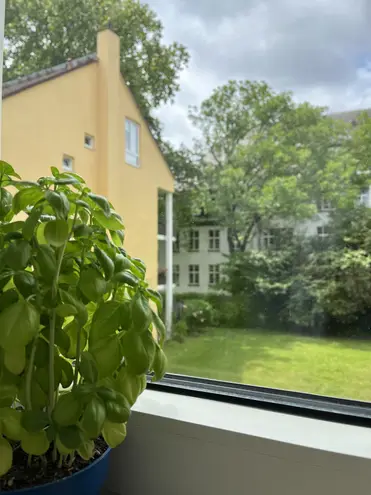 3 Zimmer Wohnung mit 85 m² in Frankfurt am Main – Bild 10