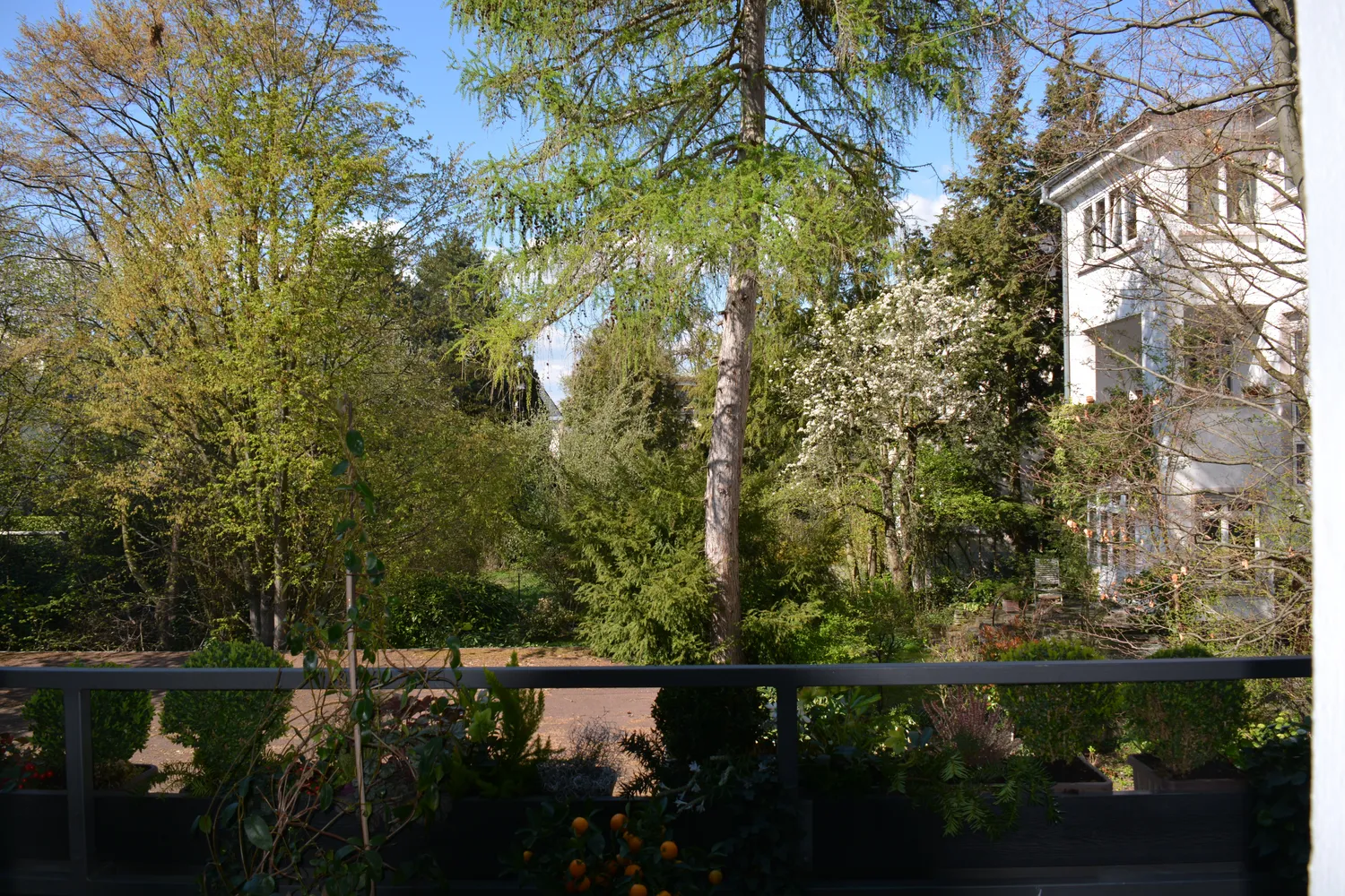 3 room apartment with 90 m² in Frankfurt am Main – Photo 1