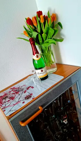 1 Zimmer Wohnung mit 45 m² in Chemnitz – Bild 2