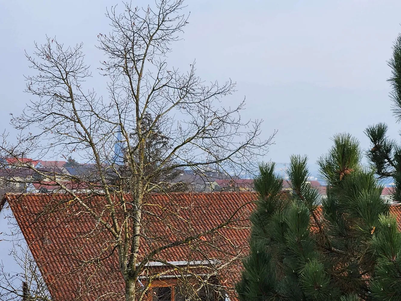 3 Zimmer Wohnung mit 74 m² in Ulm – Bild 4