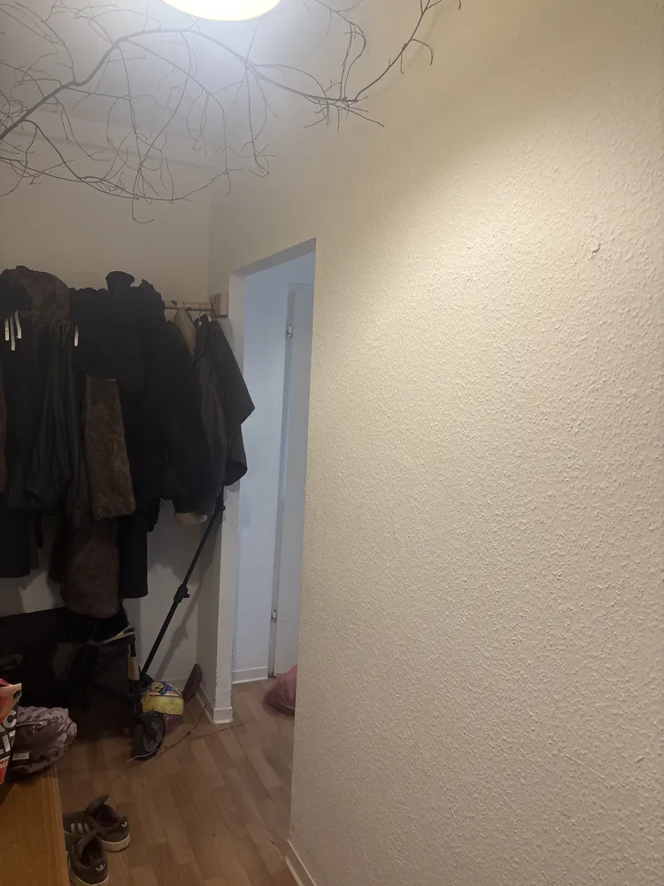 2 Zimmer Wohnung mit 48 m² in Dresden – Bild 4