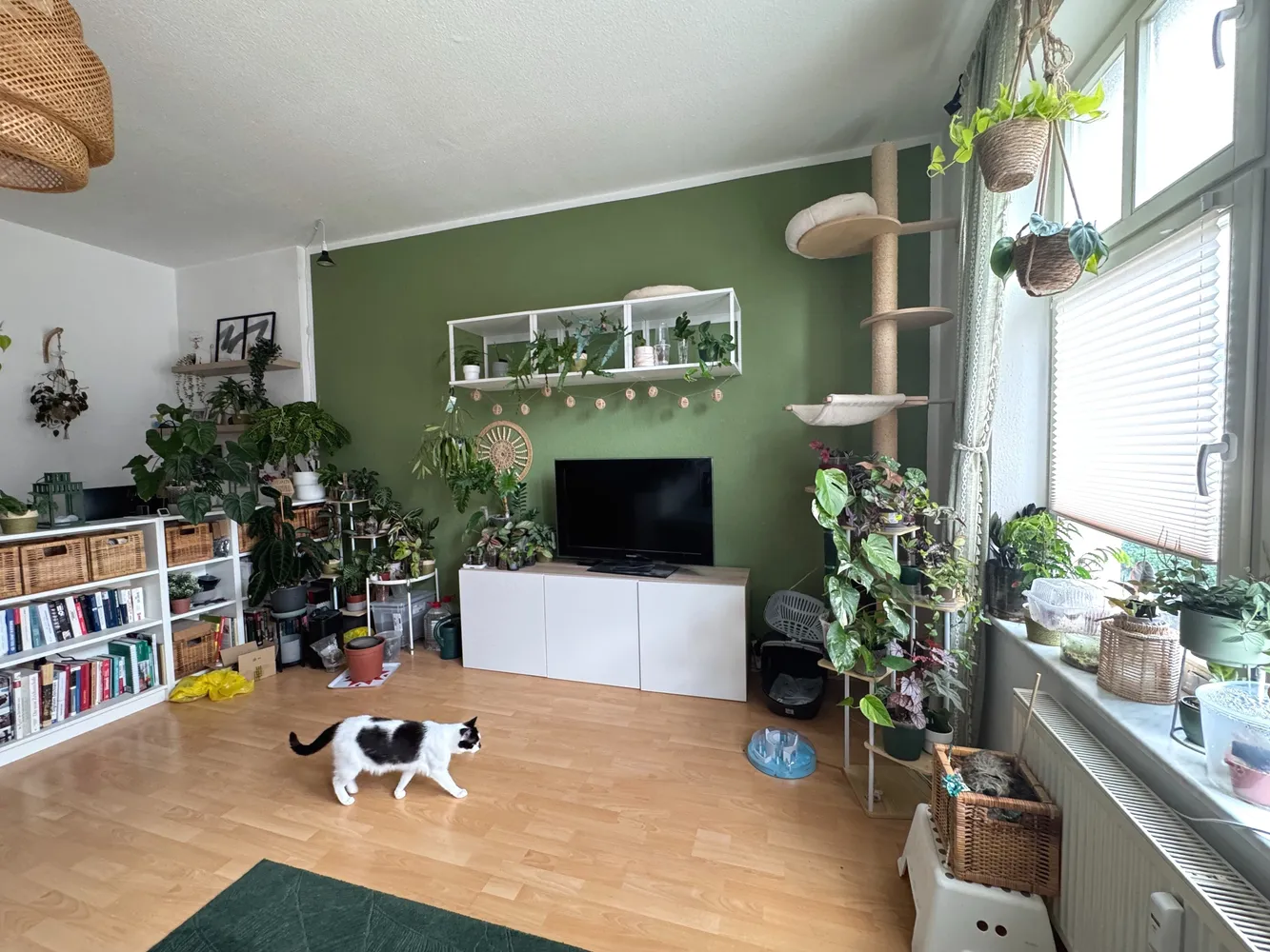 3 room apartment with 111 m² in Magdeburg – Photo 6