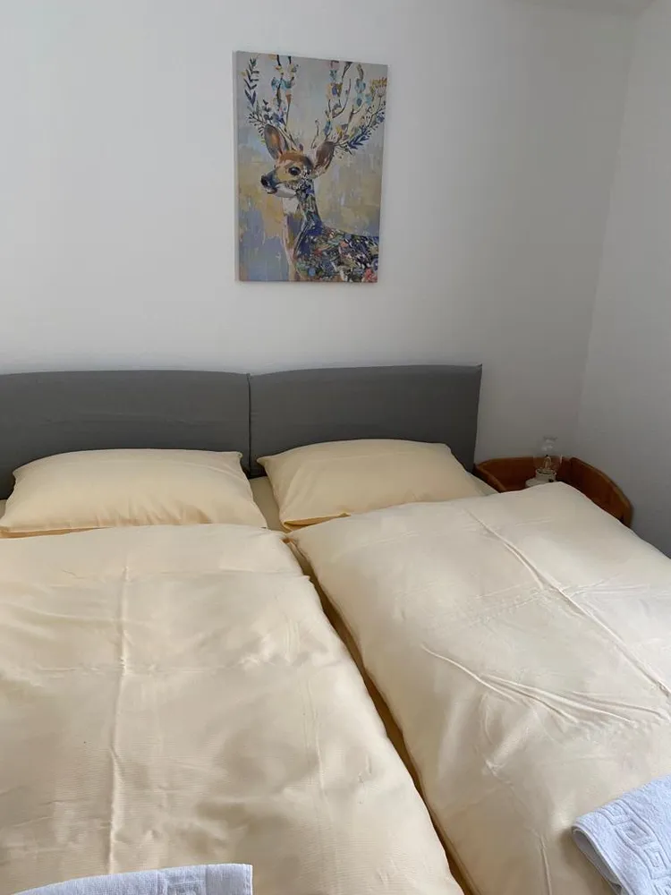 2 room apartment with 40 m² in Bonn – Photo 2
