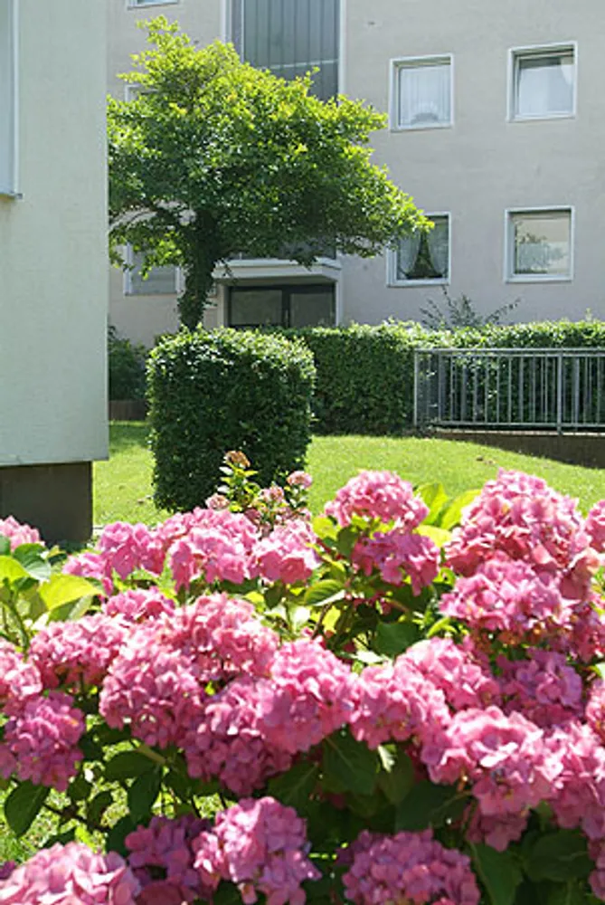 2 Zimmer Wohnung mit 59 m² in Essen – Bild 2