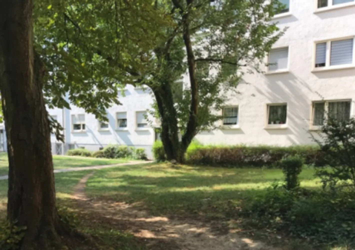 2 Zimmer Wohnung mit 52 m² in Wiesbaden – Bild 1