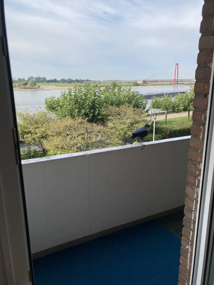 3 Zimmer Wohnung mit 71 m² in Emmerich am Rhein – Bild 7
