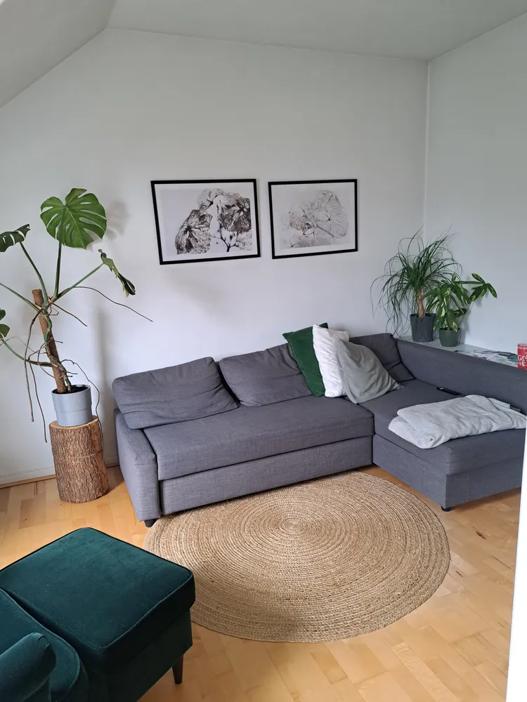3 room apartment with 51 m² in Bielefeld – Photo 1
