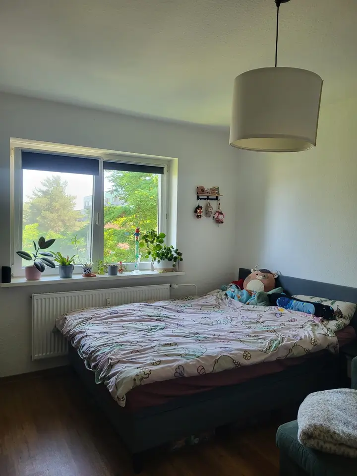WG-Zimmer mit 20 m² in Mainz – Bild 8