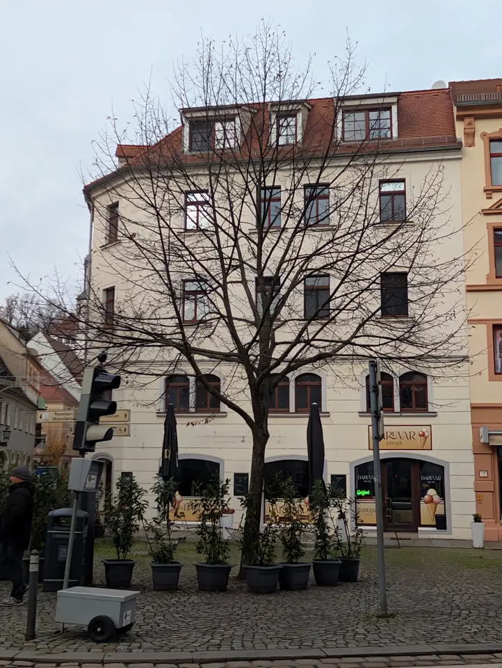 4 Zimmer Wohnung mit 110 m² in Meißen – Bild 2