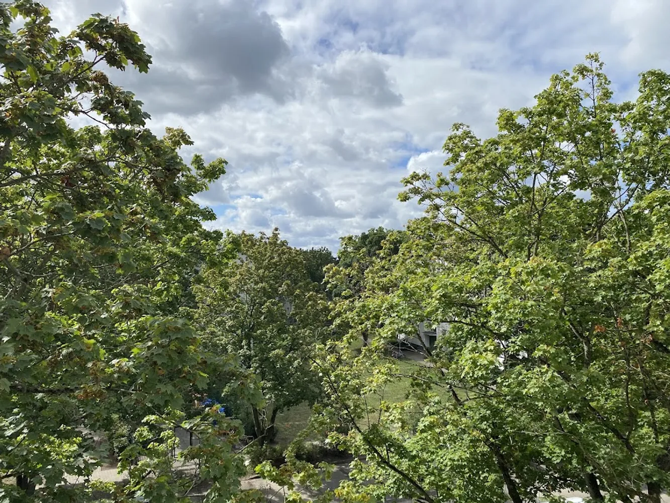 2 Zimmer Wohnung mit 64 m² in Berlin – Bild 3