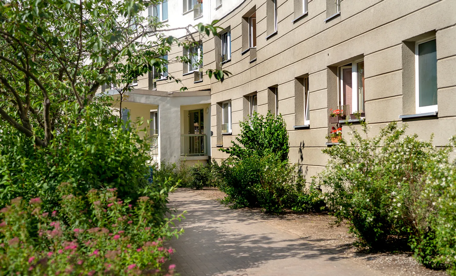 1 Zimmer Wohnung mit 33 m² in Neubrandenburg – Bild 3