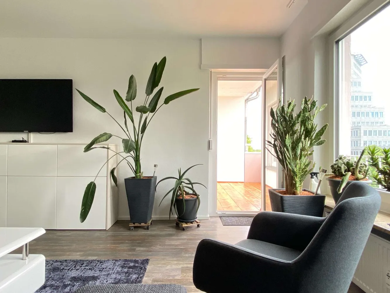 3 room apartment with 74 m² in Mannheim – Photo 10