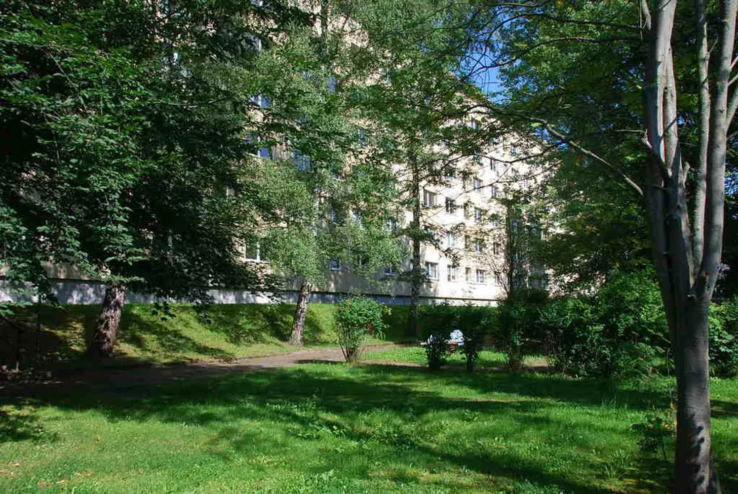 2 room apartment with 39 m² in Chemnitz – Photo 2