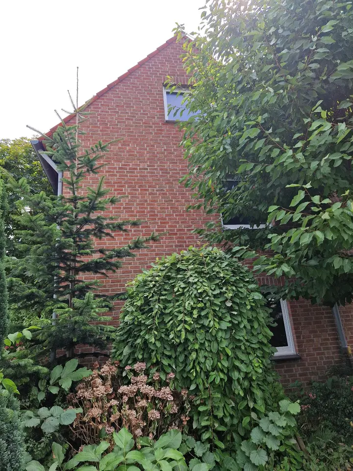 3 Zimmer Wohnung mit 72 m² in Dortmund – Bild 8