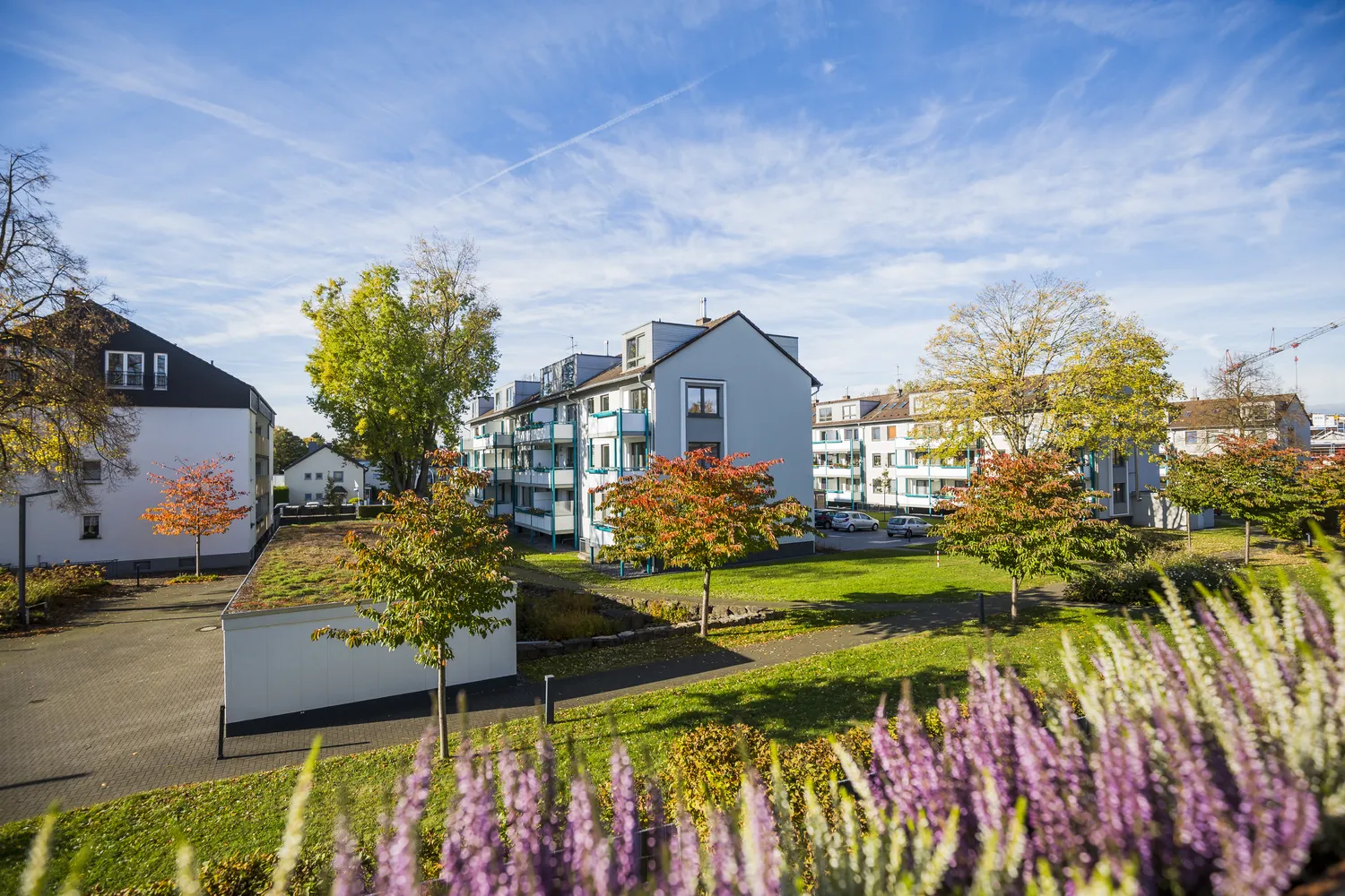 2 Zimmer Wohnung mit 49 m² in Dortmund – Bild 4