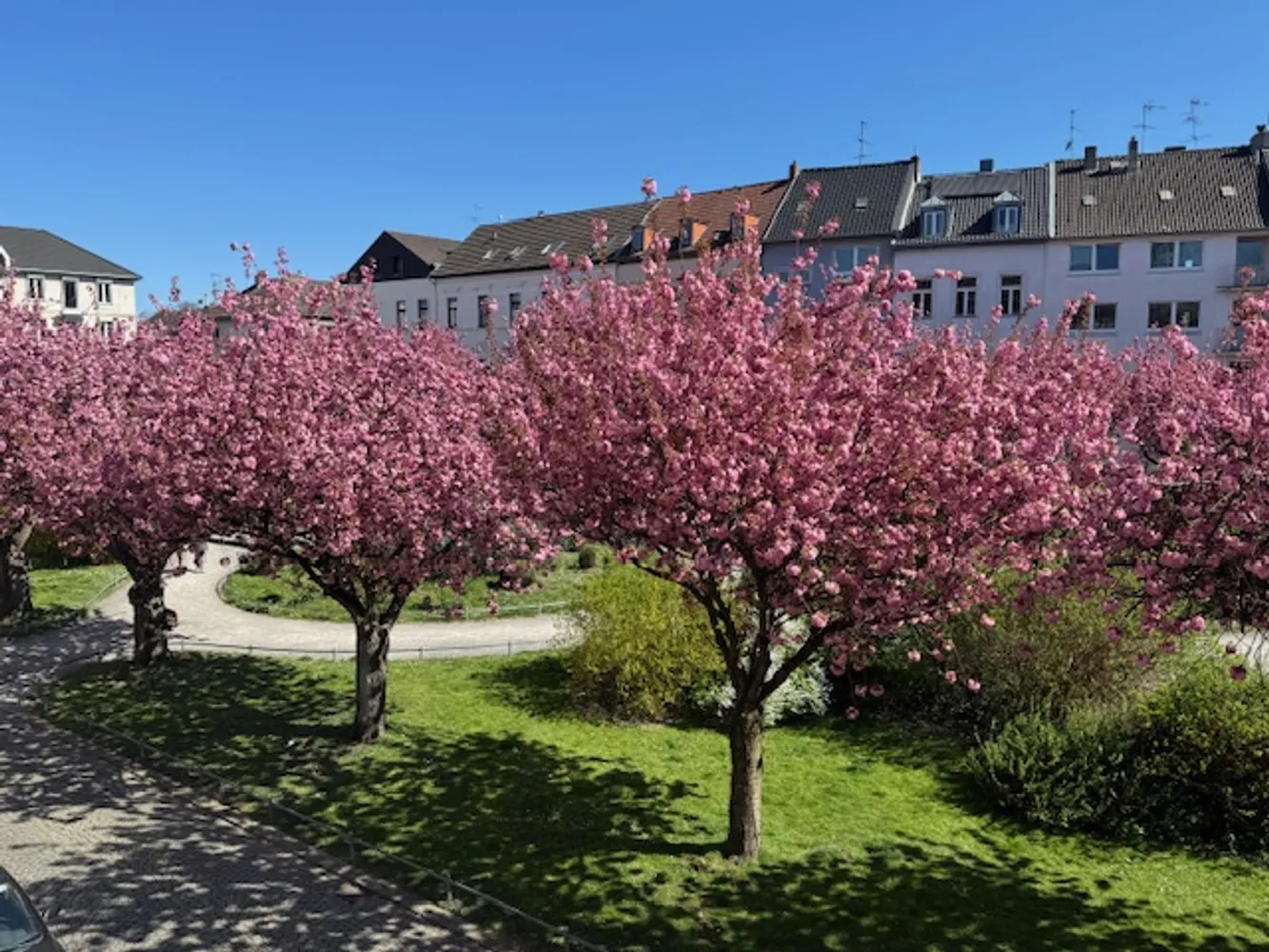 1 Zimmer Wohnung mit 40 m² in Krefeld – Bild 6