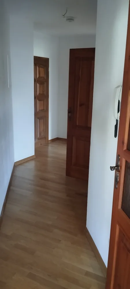 2 room apartment with 55 m² in Dresden – Photo 2