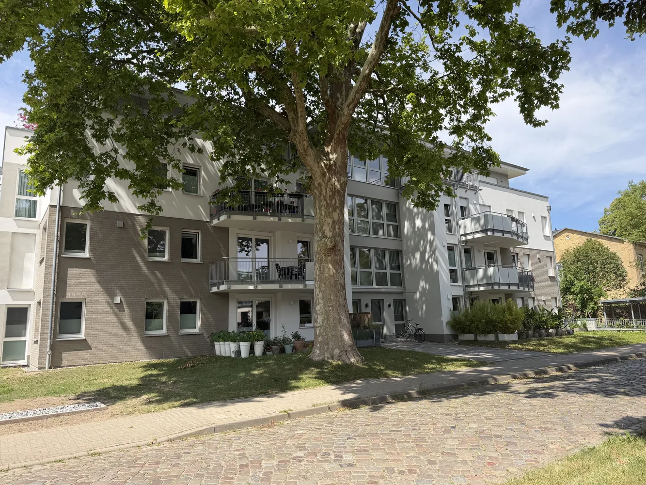 3 Zimmer Wohnung mit 93 m² in Greifswald – Bild 4