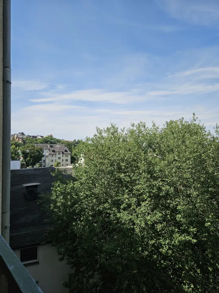 2 room apartment with 40 m² in Plauen – Photo 4