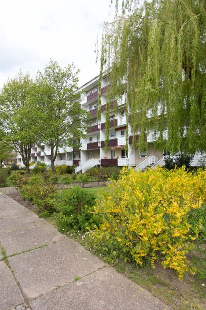 2 room apartment with 56 m² in Magdeburg – Photo 4