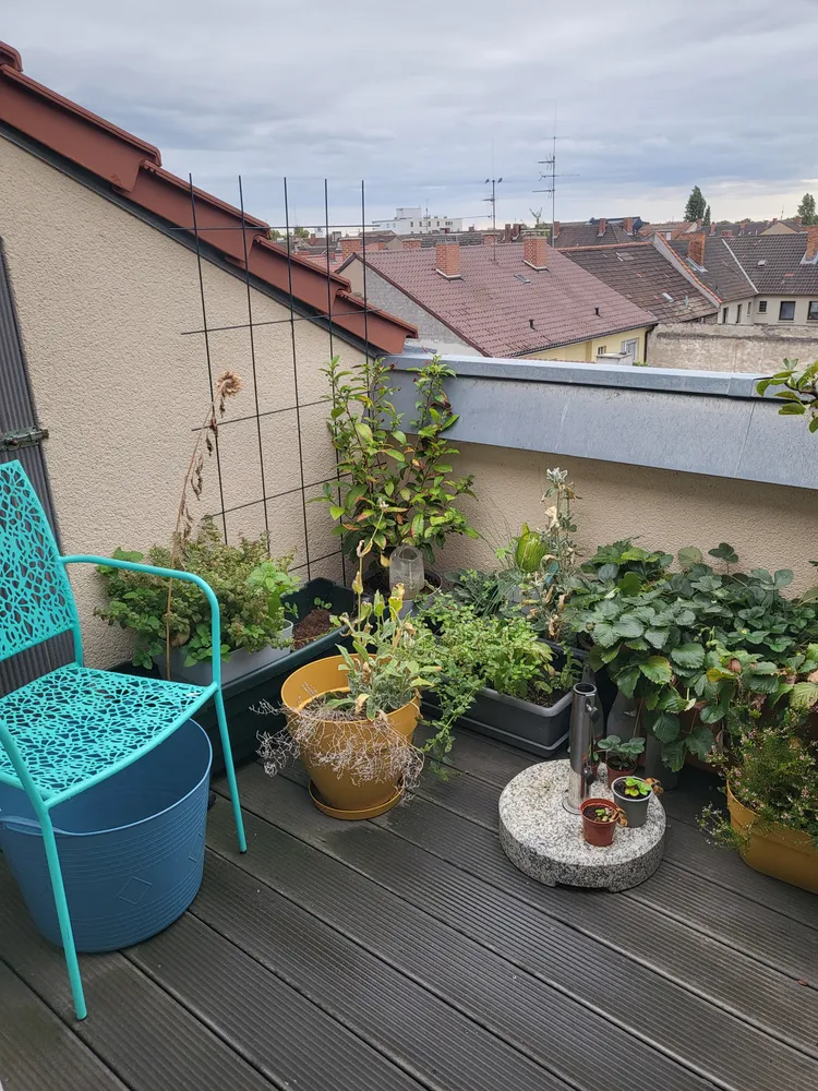 2 Zimmer Wohnung mit 90 m² in Mannheim – Bild 7
