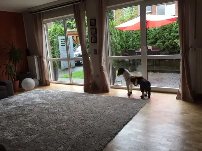 5 Zimmer Haus mit 120 m² in Gütersloh – Bild 2