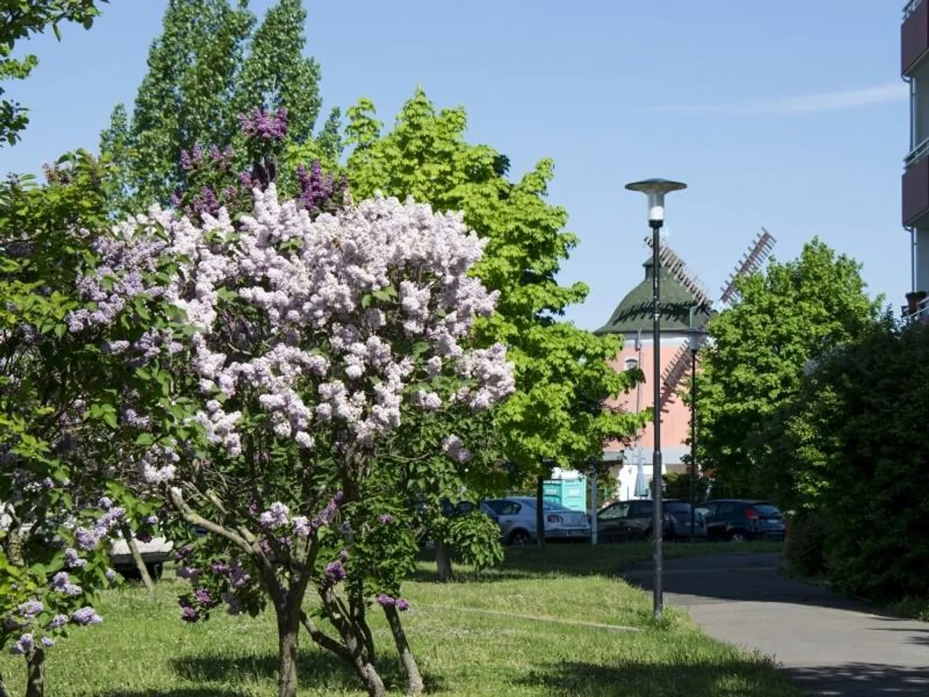 3 Zimmer Wohnung mit 56 m² in Halle (Saale) – Bild 4