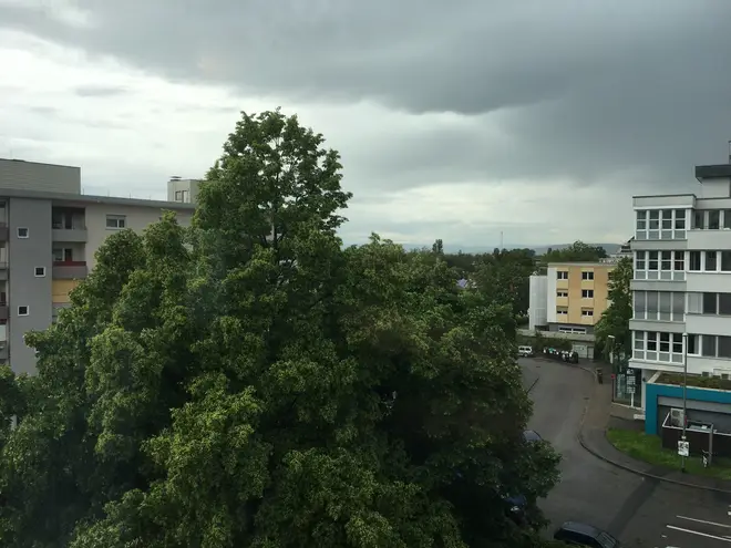 1 Zimmer Wohnung mit 23 m² in Freiburg im Breisgau – Bild 5