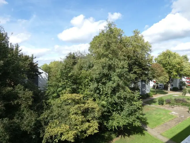1 Zimmer Wohnung mit 45 m² in Essen – Bild 6