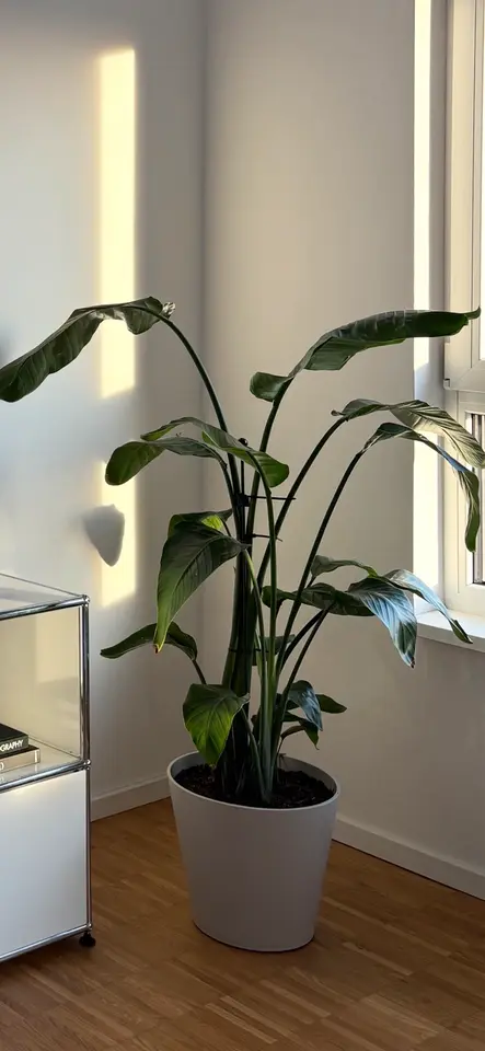 2 Zimmer Wohnung mit 50 m² in Aschaffenburg – Bild 10