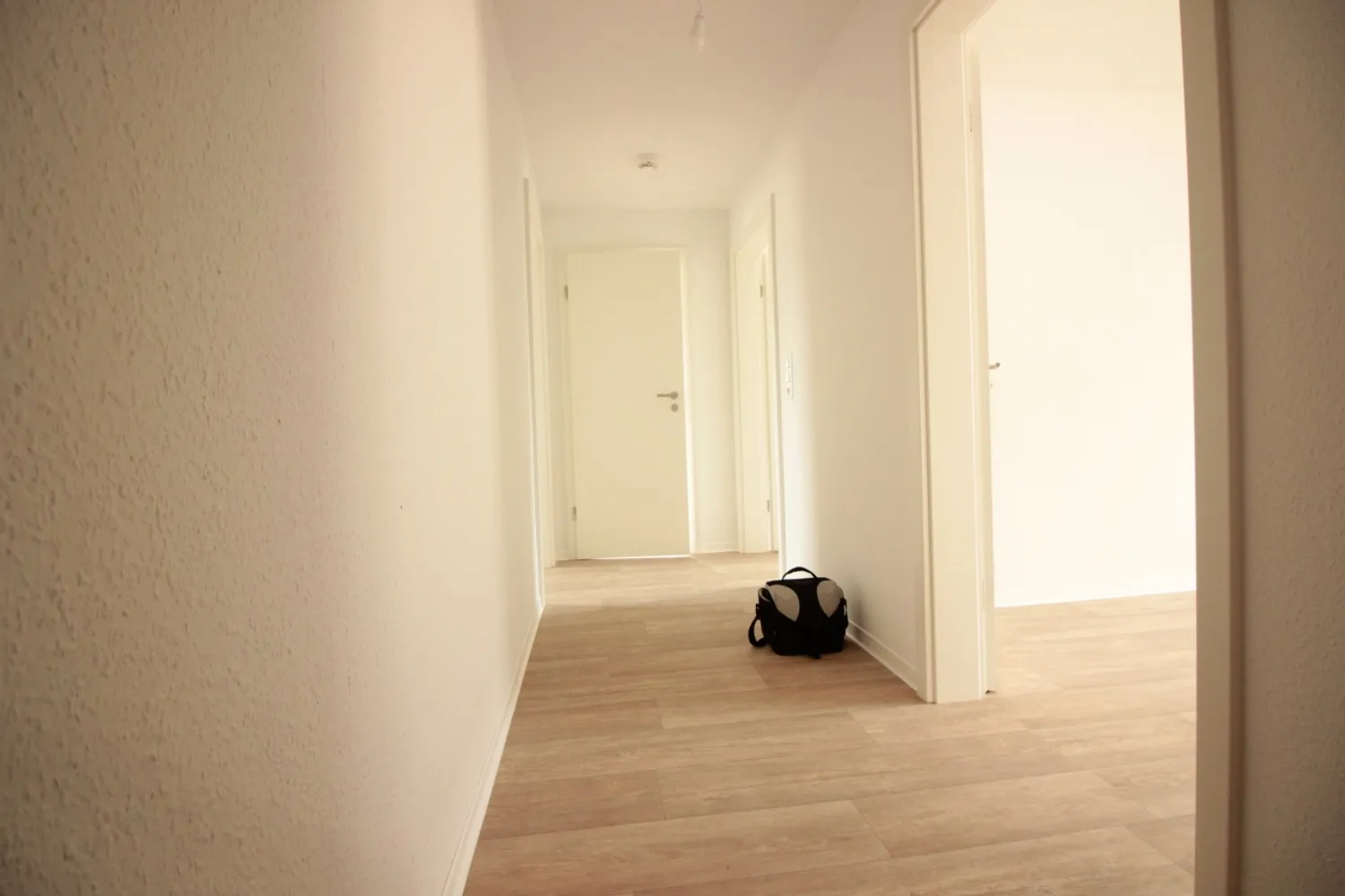 2 room apartment with 46 m² in Chemnitz – Photo 4