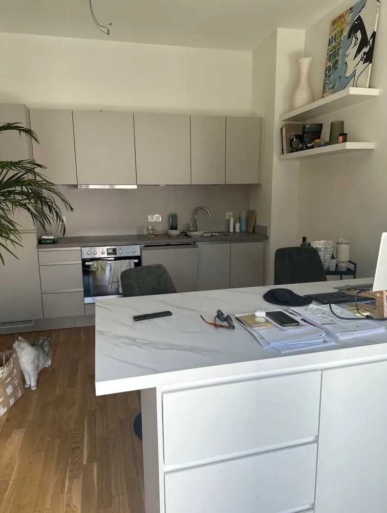 2 room apartment with 60 m² in Dresden – Photo 2