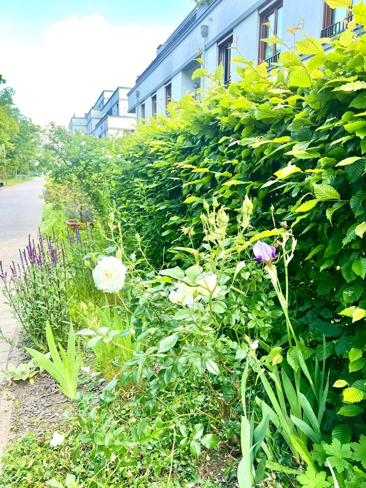 2 Zimmer Wohnung mit 66 m² in Berlin – Bild 8