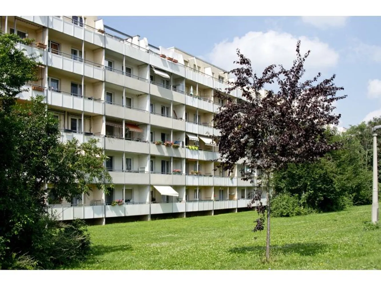 3 Zimmer Wohnung mit 104 m² in Halle (Saale) – Bild 2